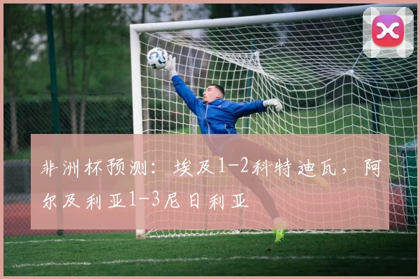 非洲杯预测：埃及1-2科特迪瓦，阿尔及利亚1-3尼日利亚