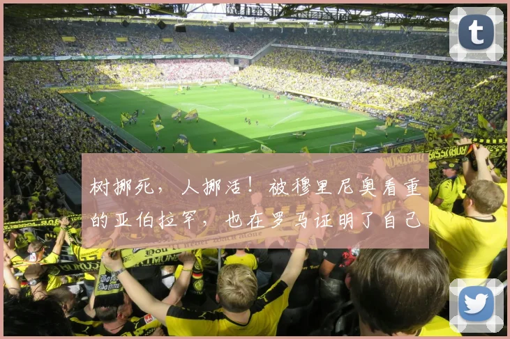 树挪死，人挪活！被穆里尼奥看重的亚伯拉罕，也在罗马证明了自己