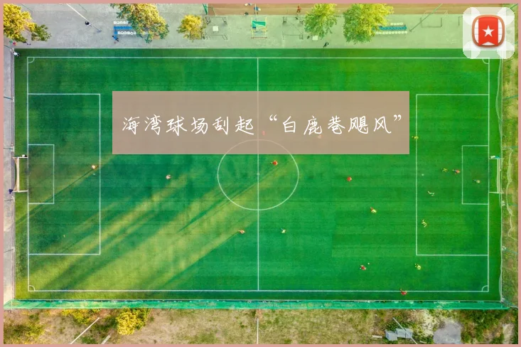 海湾球场刮起“白鹿巷飓风”