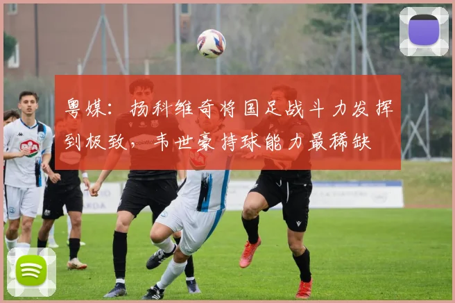 粤媒：扬科维奇将国足战斗力发挥到极致，韦世豪持球能力最稀缺
