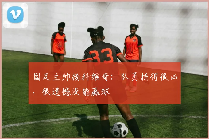 国足主帅扬科维奇：队员拼得很凶，很遗憾没能赢球