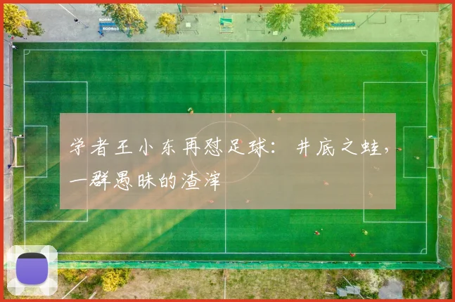 学者王小东再怼足球：井底之蛙，一群愚昧的渣滓