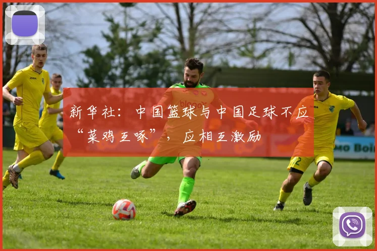 新华社：中国篮球与中国足球不应“菜鸡互啄”，应相互激励