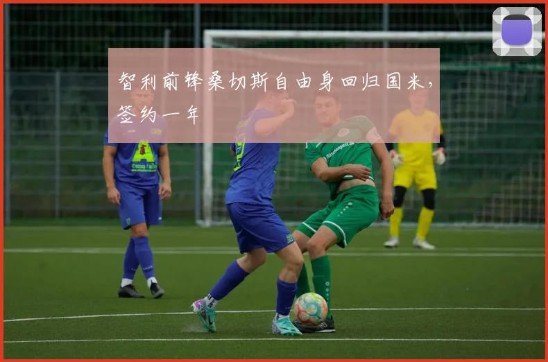 智利前锋桑切斯自由身回归国米，签约一年