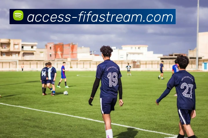 世界杯直播网站平台生态图